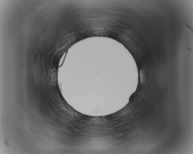 X0000099441107200806061037