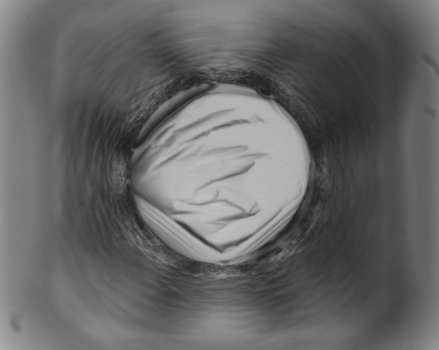 X0000099441108200806061037