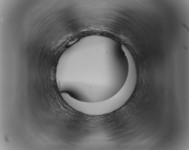 X0000099441110200806061037