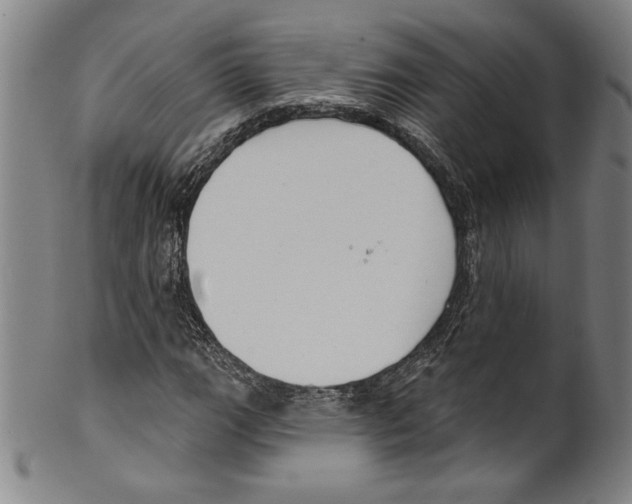 X0000099441111200806061037