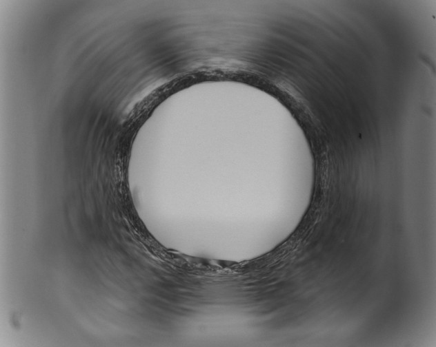 X0000099441112200806061037