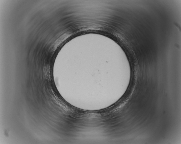 X0000099441113200806061037