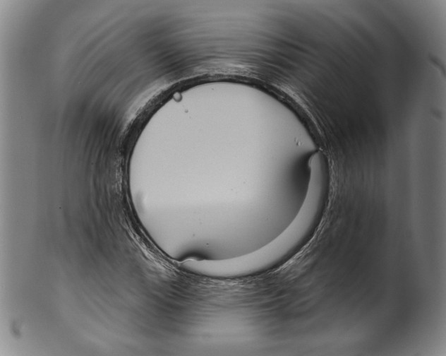 X0000099441115200806061037