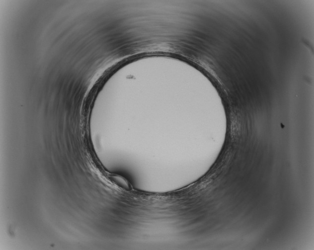 X0000099441116200806061037