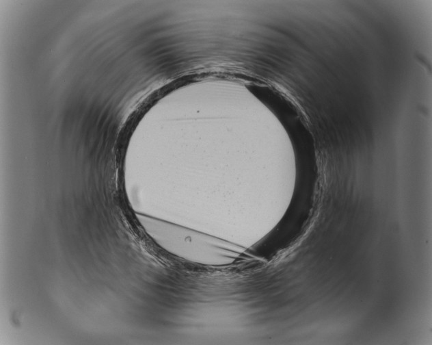 X0000099441117200806061037