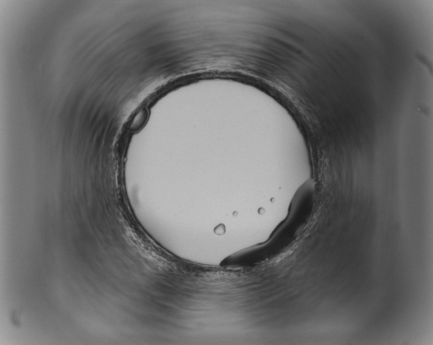 X0000099441118200806061037