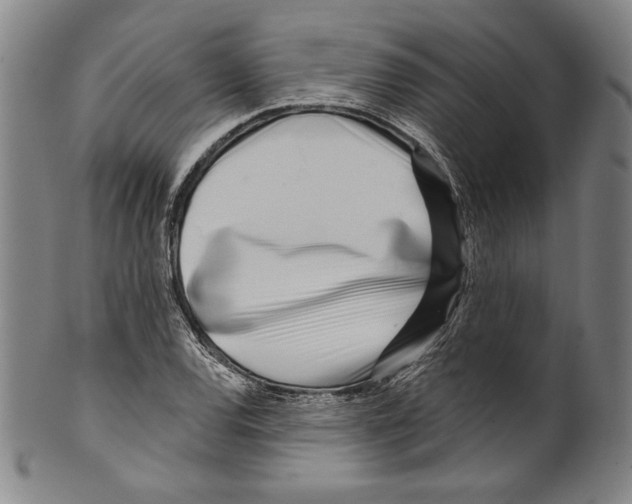 X0000099441120200806061037