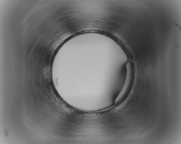 X0000099441121200806061037