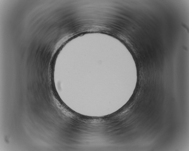 X0000099441122200806061037