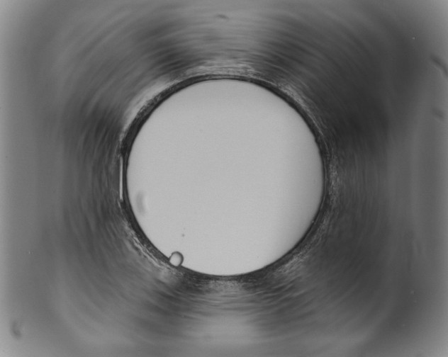 X0000099441123200806061037