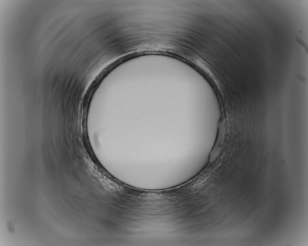 X0000099441124200806061037