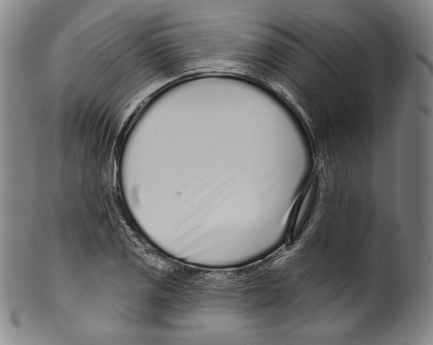 X0000099441125200806061037