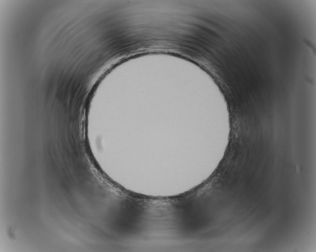 X0000099441126200806061037