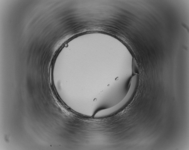 X0000099441127200806061037