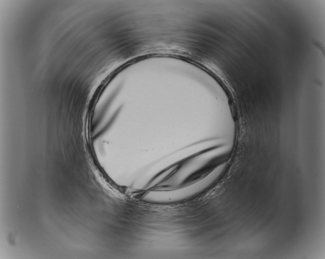 X0000099441128200806061037