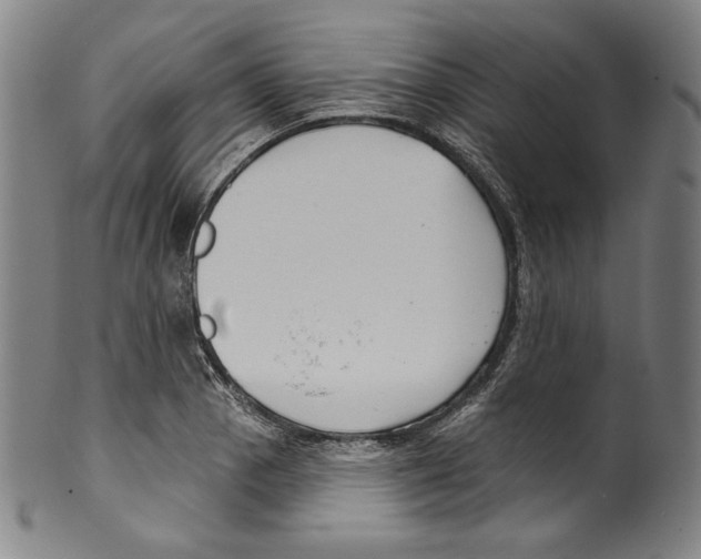 X0000099441129200806061037