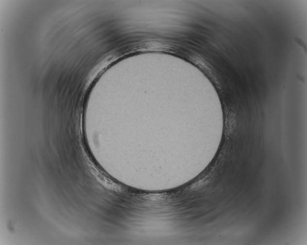 X0000099441130200806061037