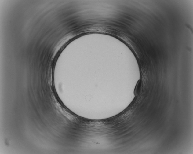 X0000099441131200806061037