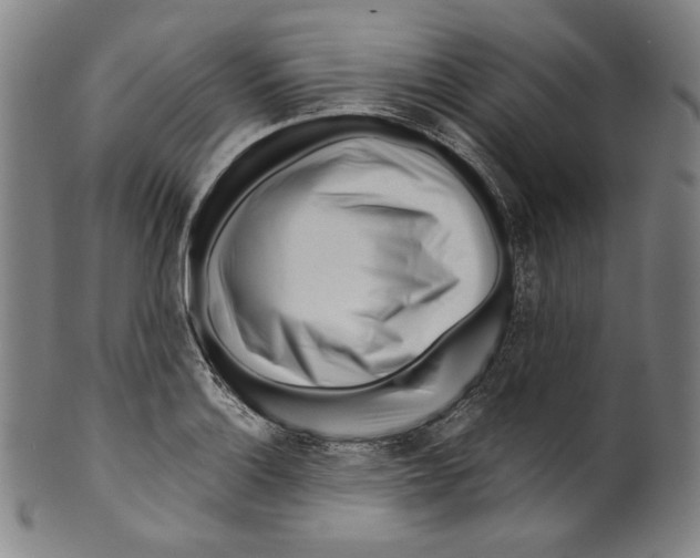 X0000099441132200806061037