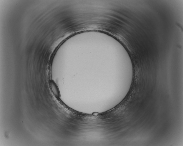 X0000099441134200806061038