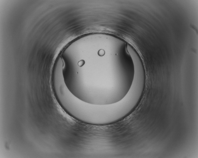 X0000099441136200806061038