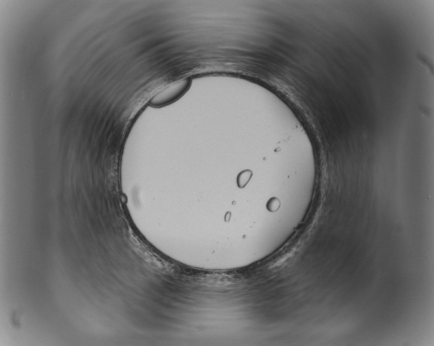 X0000099441137200806061038