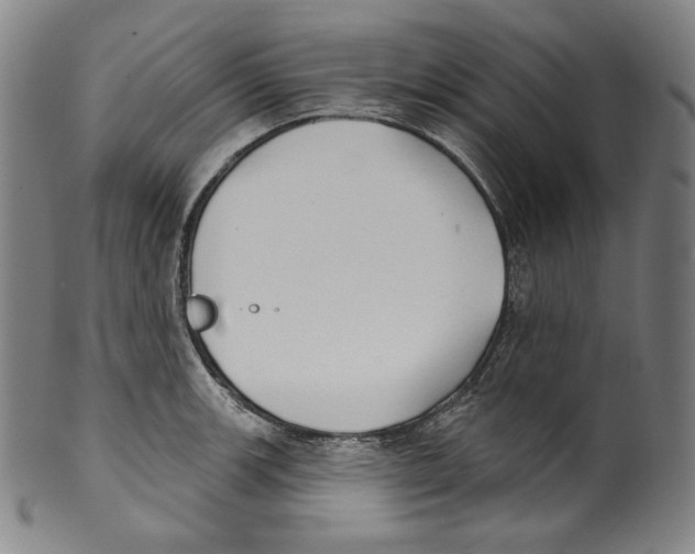 X0000099441139200806061038