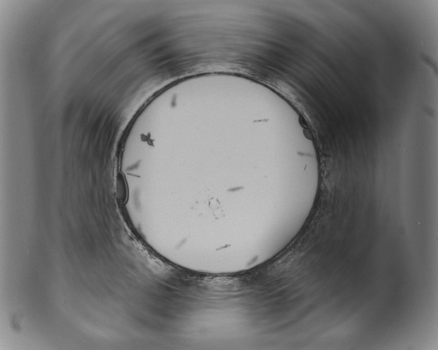 X0000099441140200806061038