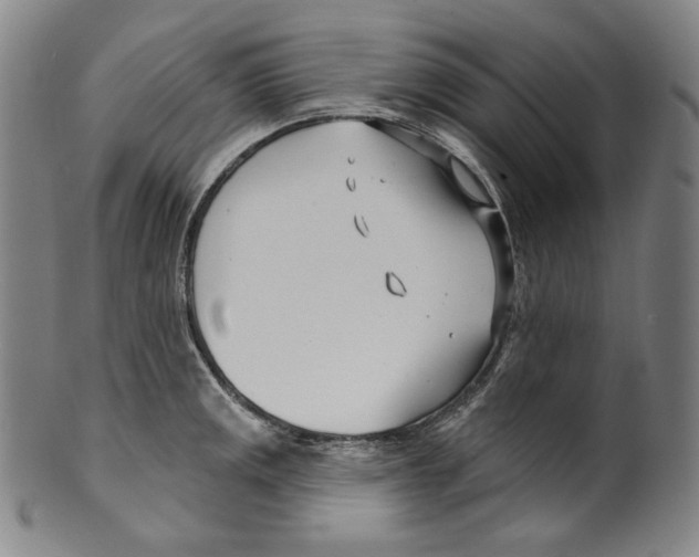 X0000099441141200806061038