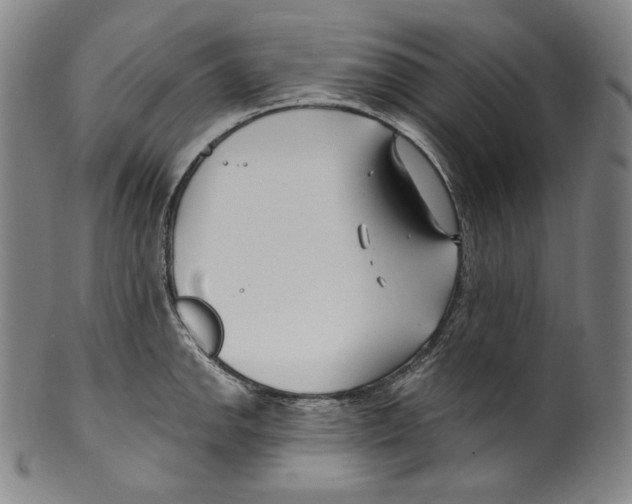 X0000099441142200806061038