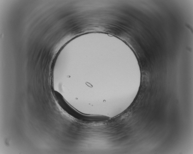 X0000099441143200806061038