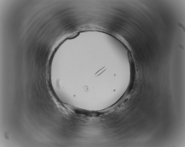 X0000099441144200806061038