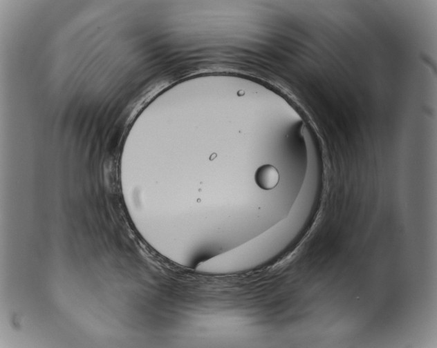 X0000099441145200806061038