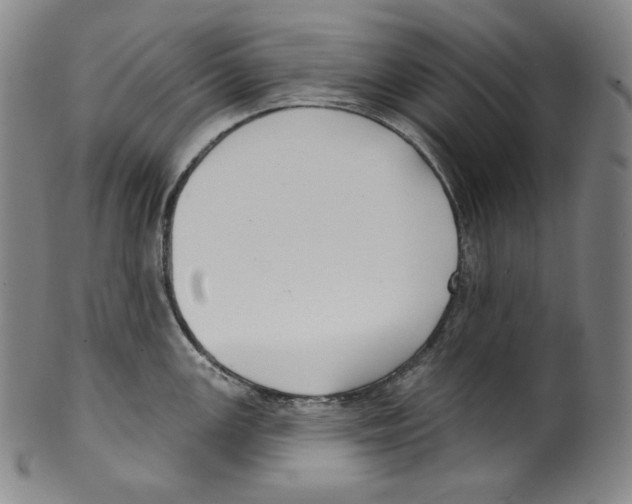 X0000099441147200806061038