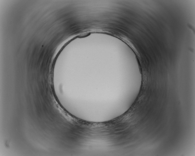 X0000099441148200806061038