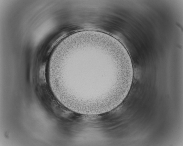 X0000099441150200806061038