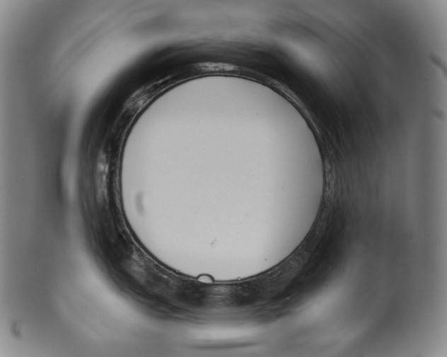 X0000099441151200806061038