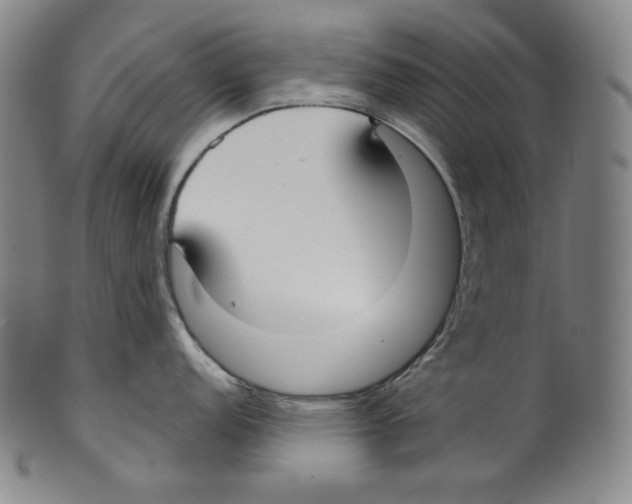 X0000099441152200806061038