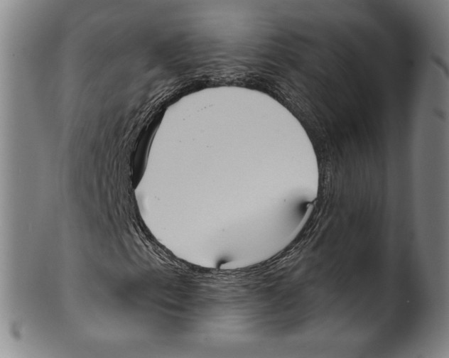 X0000099441153200806061037