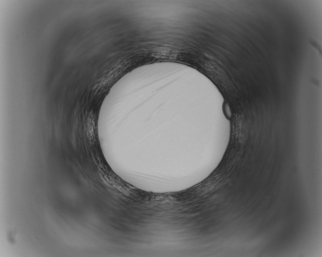 X0000099441154200806061037