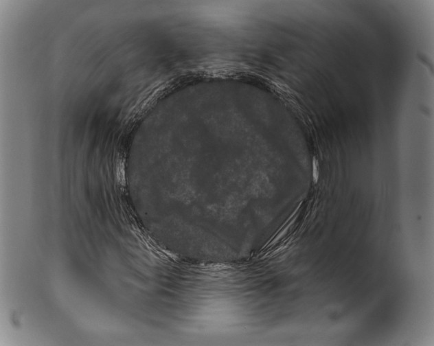 X0000099441155200806061037