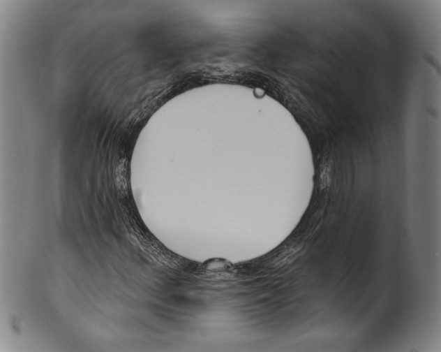 X0000099441156200806061037