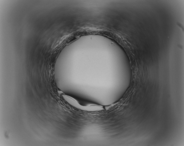 X0000099441157200806061037