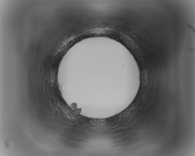 X0000099441158200806061037