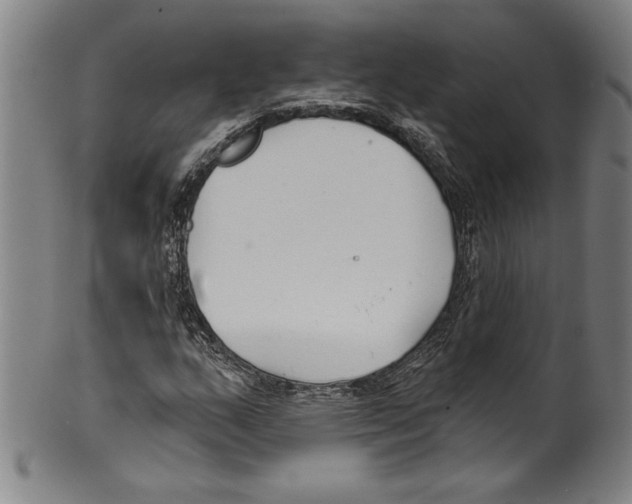 X0000099441159200806061037