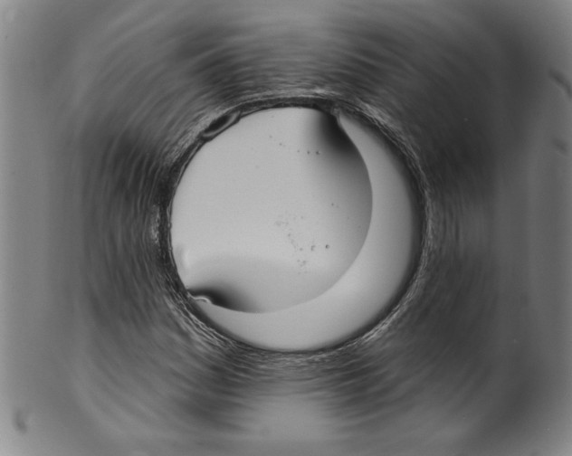 X0000099441161200806061037