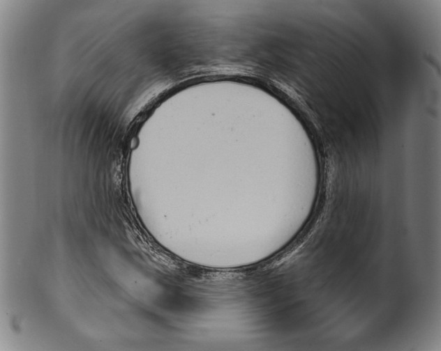 X0000099441163200806061037