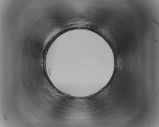 X0000099441164200806061037