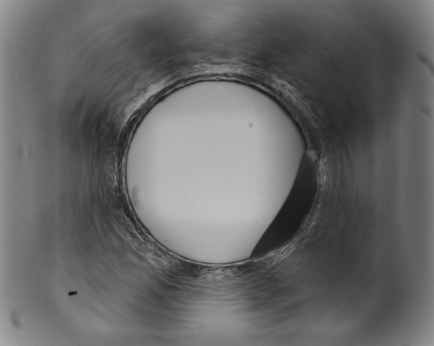 X0000099441165200806061037