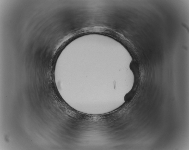 X0000099441166200806061037